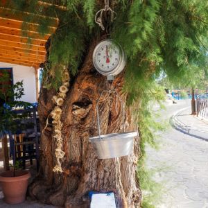 Agathonisi - July 2019