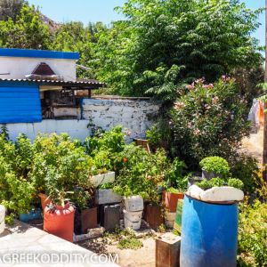 Agathonisi - July 2019