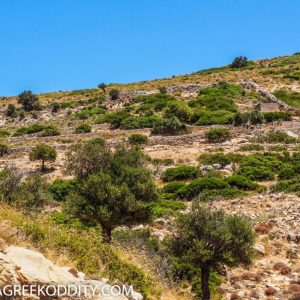 Agathonisi - July 2019