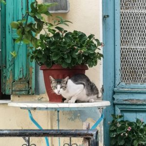 Samos - June 2019