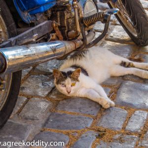 Kalymnos - July 2019