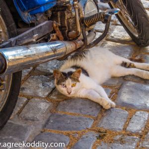 Kalymnos - July 2019