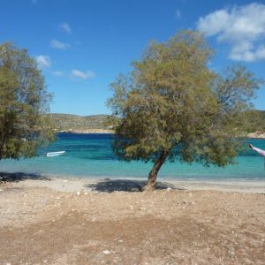 Lesvos 2013