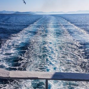 Aegina 2017