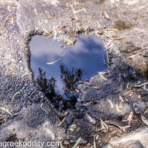 The National Gardens