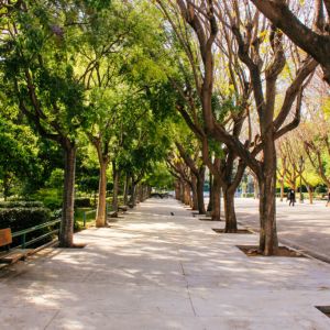 The National Gardens