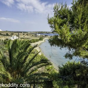 Schinoussa 2015 - Grispos Villas