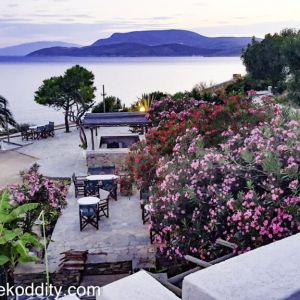 Schinoussa 2015 - Grispos Villas Taverna