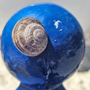 Chios-Izmir -Oinousses-Athens