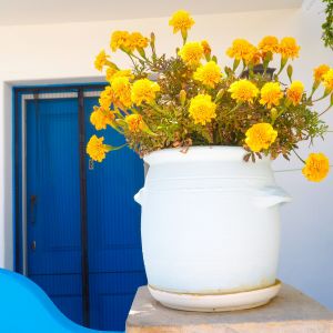 Patras-Ancient Corinth-Kalloni-Poros-Methana