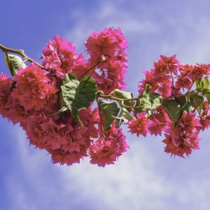 Kardamyli-Tyros-Nafplio-Poros-Aegina-Agistri-Athens