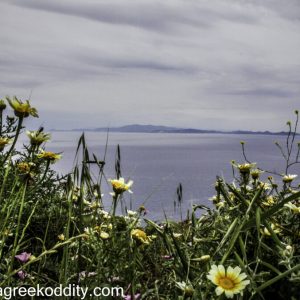 Sifnos 2014