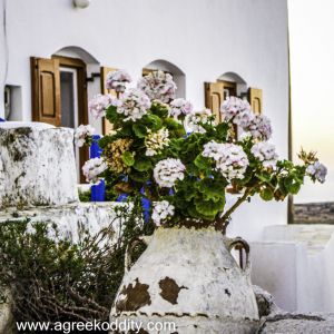Folegandros 2013