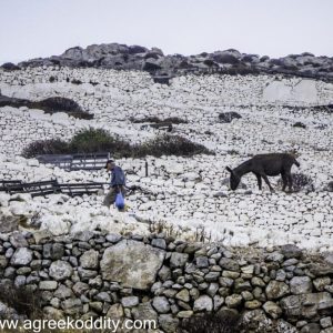 Folegandros 2013