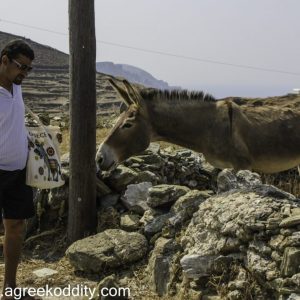 Folegandros 2013