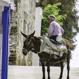 Folegandros 2013