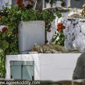 Folegandros 2013
