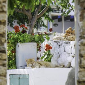 Folegandros 2013