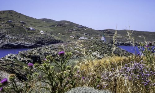 Kea 2014