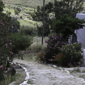 Serifos 2014
