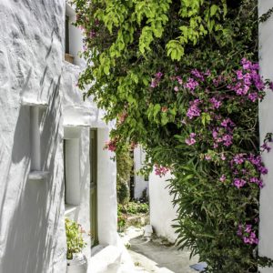 Serifos 2014