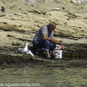 Iraklia 2015 - Agios Georgios Beach