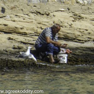 Iraklia 2015 - Agios Georgios Beach