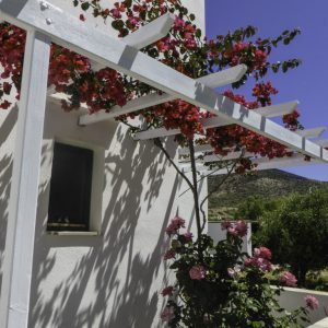 Sifnos 2014