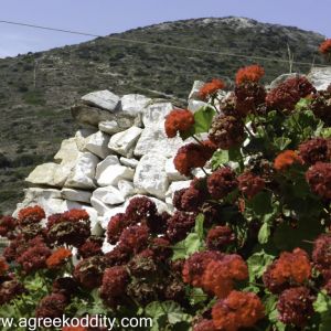 Iraklia 2015 - Panagia