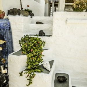 Schinoussa 2015 - Taverna O Nikolas