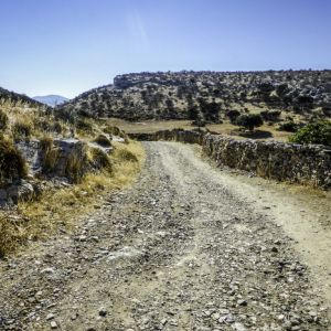 Schinoussa 2015 - Road to Psili Amos