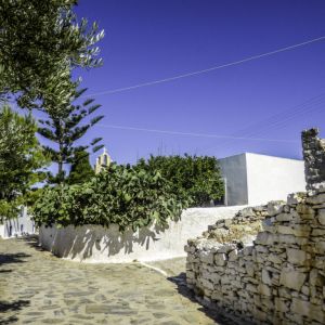 Schinoussa 2015 - Messaria