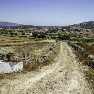 Schinoussa 2015 - Messaria