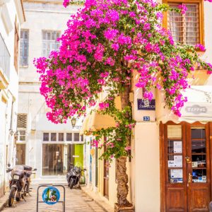 Syros 2021