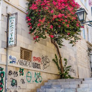 Syros 2021