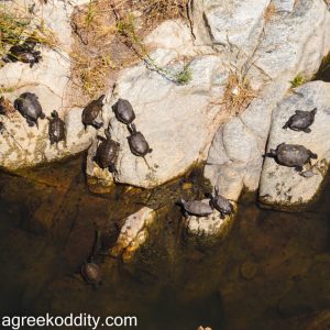 Ikaria 2021