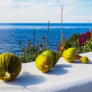 Ikaria 2021