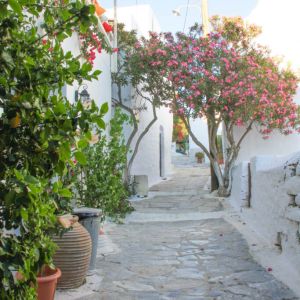 Amorgos 2015