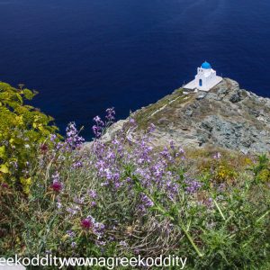 Sifnos 2014 - Church of the Seven Martyrs viewed from the Kastro. Peter seemed to take such a long time coming back up to the Kastro. When he did come back he looked a bit flustered and then proceeded to tell me about his encounter with a snake. When he was walking back up the path to the Kastro, he must have disturbed a snake who didn’t take too kindly to it’s sunbathing being disrupted. It reacted by striking a threatening pose and rasping it’s forked tongue at him. Peter says his only reaction was to throw himself backwards out of its way but he wanted to make sure that it had moved away before continuing up the stone steps.