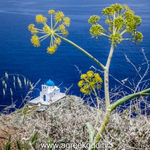 Sifnos 2014