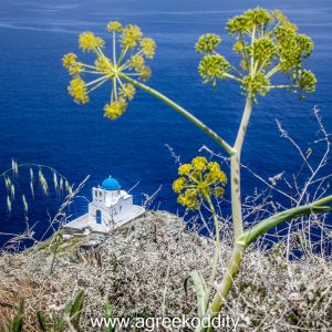 Sifnos 2014