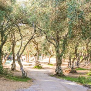 Sivota and Meteora 2014