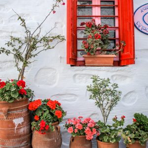 Amorgos 2015