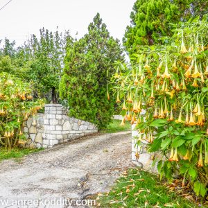 Sivota and Meteora 2014