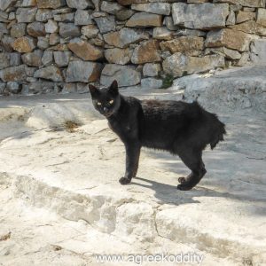 Amorgos 2015