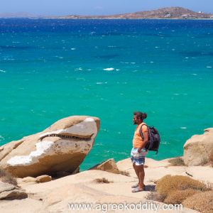 Peter and the Shark 2022