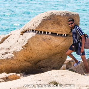 Peter and the Shark 2015