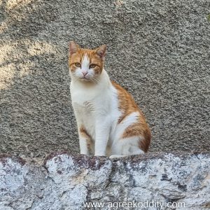 Lesvos 2022