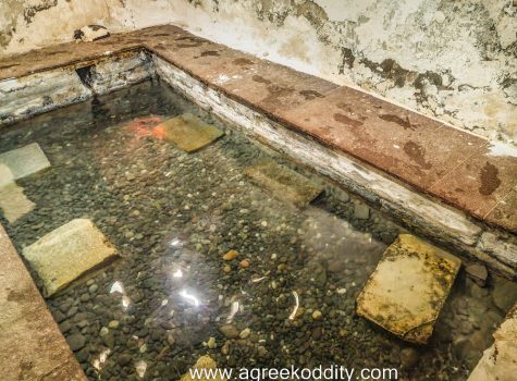 Lesvos 2022 Sleeping hammam cat inside the Eftalou hot springs.