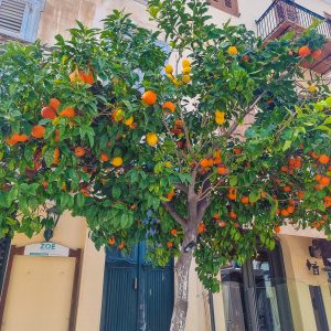 Nafplio 2023